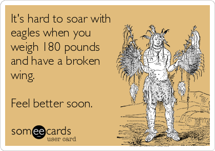 It's hard to soar with
eagles when you
weigh 180 pounds
and have a broken
wing.

Feel better soon.