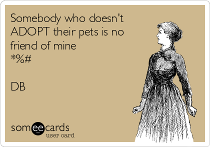 Somebody who doesn't
ADOPT their pets is no
friend of mine
*%# 

DB