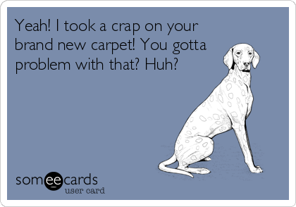 Yeah! I took a crap on your
brand new carpet! You gotta
problem with that? Huh?