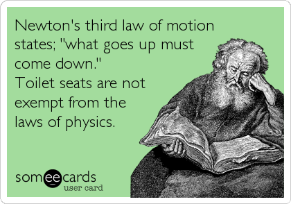Newton's third law of motion
states; "what goes up must
come down."
Toilet seats are not
exempt from the
laws of physics.