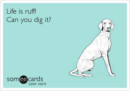 Life is ruff!
Can you dig it?