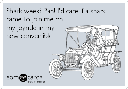 Shark week? Pah! I'd care if a shark
came to join me on
my joyride in my
new convertible.