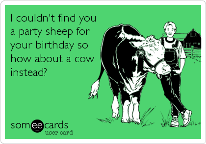 I couldn't find you
a party sheep for
your birthday so
how about a cow
instead?