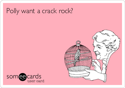 Polly want a crack rock?