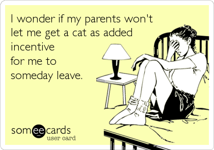 I wonder if my parents won't
let me get a cat as added
incentive
for me to
someday leave.