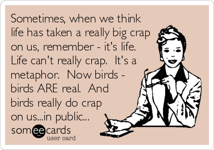 Sometimes, when we think
life has taken a really big crap
on us, remember - it's life. 
Life can't really crap.  It's a
metaphor.  Now birds -
birds ARE real.  And
birds really do crap
on us...in public...