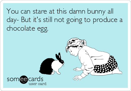 You can stare at this damn bunny all
day- But it's still not going to produce a
chocolate egg.
