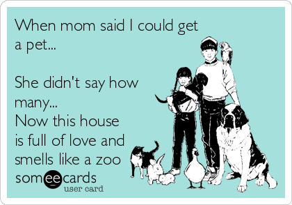 When mom said I could get
a pet...

She didn't say how
many...
Now this house
is full of love and
smells like a zoo
