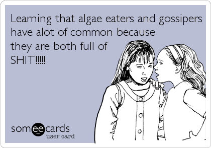 Learning that algae eaters and gossipers
have alot of common because
they are both full of
SHIT!!!!!