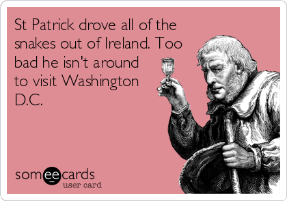 St Patrick drove all of the
snakes out of Ireland. Too
bad he isn't around
to visit Washington
D.C.