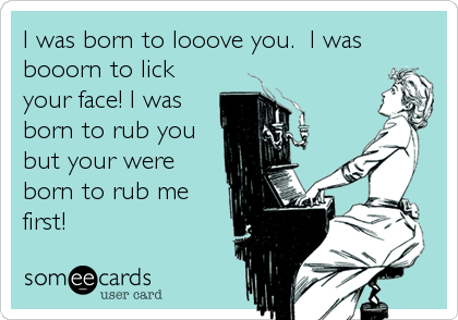 I was born to looove you.  I was
booorn to lick
your face! I was
born to rub you
but your were
born to rub me
first!