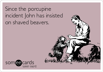 Since the porcupine
incident John has insisted
on shaved beavers.