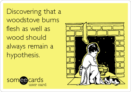 Discovering that a
woodstove burns 
flesh as well as
wood should 
always remain a 
hypothesis.