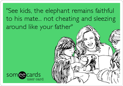 "See kids, the elephant remains faithful
to his mate... not cheating and sleezing
around like your father"