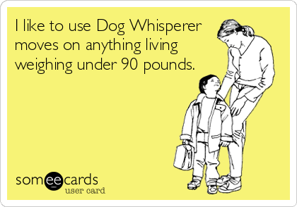 I like to use Dog Whisperer
moves on anything living 
weighing under 90 pounds.