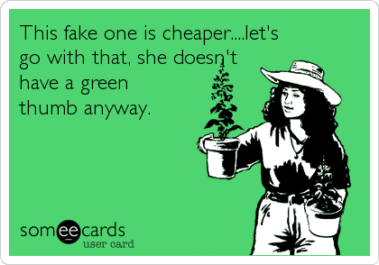 This fake one is cheaper....let's
go with that, she doesn't
have a green
thumb anyway.