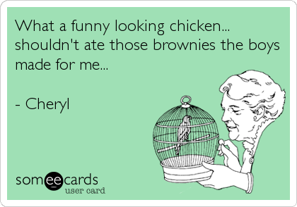 What a funny looking chicken...
shouldn't ate those brownies the boys
made for me...

- Cheryl