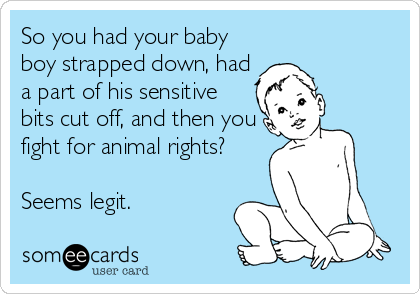 So you had your baby
boy strapped down, had
a part of his sensitive
bits cut off, and then you
fight for animal rights? 

Seems legit.