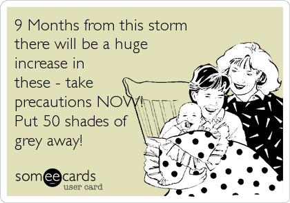 9 Months from this storm 
there will be a huge
increase in
these - take
precautions NOW!
Put 50 shades of
grey away!