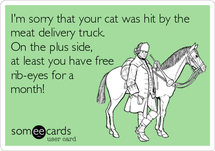 I'm sorry that your cat was hit by the
meat delivery truck.   
On the plus side,
at least you have free
rib-eyes for a 
month!