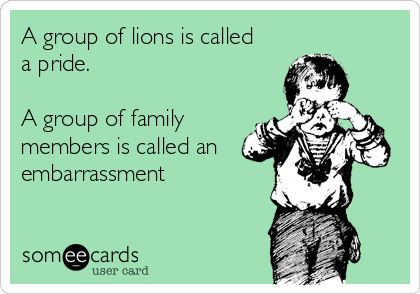 A group of lions is called 
a pride. 

A group of family
members is called an
embarrassment