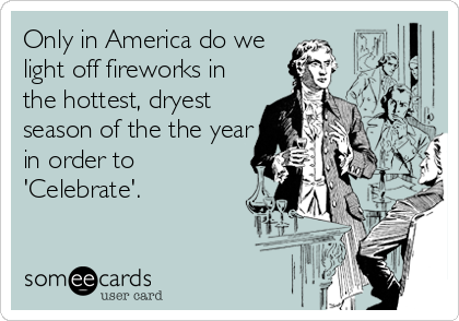 Only in America do we
light off fireworks in
the hottest, dryest
season of the the year
in order to
'Celebrate'.