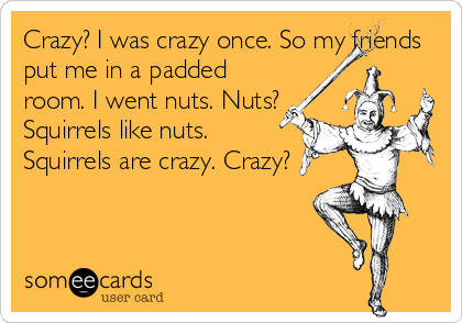 Crazy? I was crazy once. So my friends
put me in a padded
room. I went nuts. Nuts?
Squirrels like nuts.
Squirrels are crazy. Crazy?