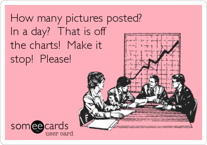 How many pictures posted?
In a day?  That is off
the charts!  Make it
stop!  Please!