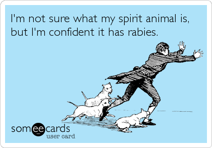 I'm not sure what my spirit animal is,
but I'm confident it has rabies.