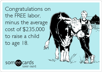 Congratulations on
the FREE labor,
minus the average
cost of $235,000
to raise a child
to age 18.