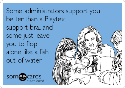Some administrators support you
better than a Playtex
support bra...and
some just leave
you to flop
alone like a fish
out of water.