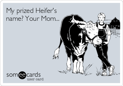 My prized Heifer's
name? Your Mom...