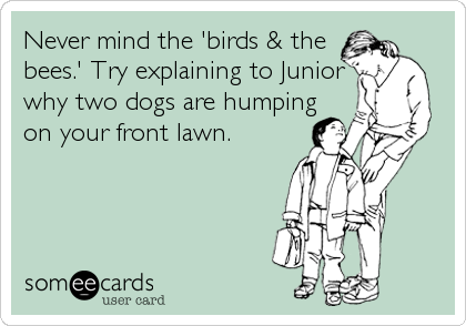 Never mind the 'birds & the
bees.' Try explaining to Junior
why two dogs are humping
on your front lawn.