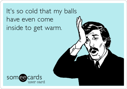 It's so cold that my balls
have even come 
inside to get warm.