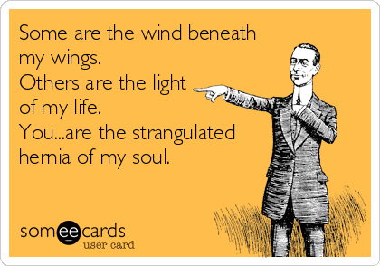 Some are the wind beneath
my wings.
Others are the light
of my life.
You...are the strangulated
hernia of my soul.