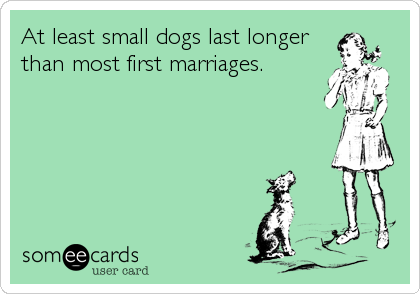 At least small dogs last longer
than most first marriages.