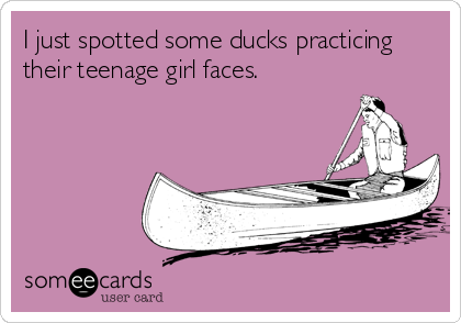 I just spotted some ducks practicing
their teenage girl faces.
