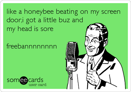 like a honeybee beating on my screen
door,i got a little buz and
my head is sore

freebannnnnnnn