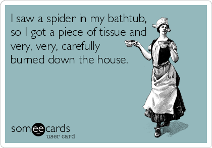 I saw a spider in my bathtub,
so I got a piece of tissue and
very, very, carefully
burned down the house.