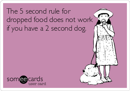 The 5 second rule for
dropped food does not work
if you have a 2 second dog.