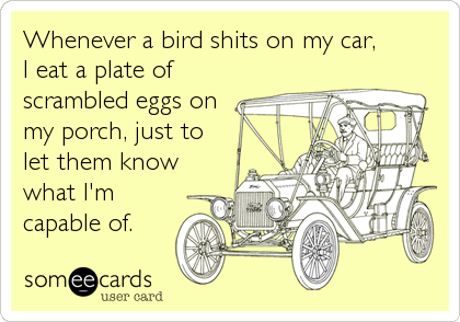 Whenever a bird shits on my car, 
I eat a plate of
scrambled eggs on
my porch, just to
let them know
what I'm
capable of.
