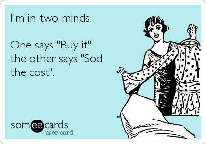 I'm in two minds.

One says "Buy it"
the other says "Sod
the cost".