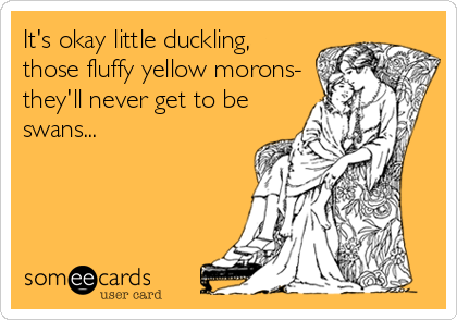 It's okay little duckling,
those fluffy yellow morons-
they'll never get to be
swans...