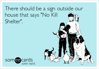 There should be a sign outside our
house that says "No Kill
Shelter".