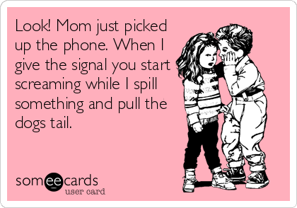 Look! Mom just picked
up the phone. When I
give the signal you start
screaming while I spill
something and pull the
dogs tail.
