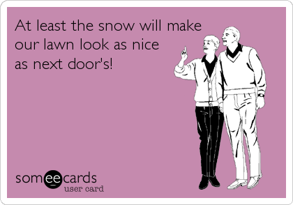 At least the snow will make
our lawn look as nice
as next door's!