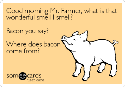 Good morning Mr. Farmer, what is that
wonderful smell I smell?

Bacon you say?

Where does bacon
come from?