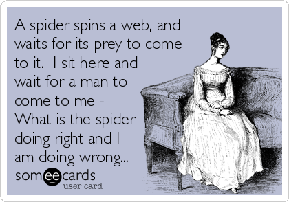 A spider spins a web, and
waits for its prey to come
to it.  I sit here and
wait for a man to
come to me - 
What is the spider
doing right and I
am doing wrong...