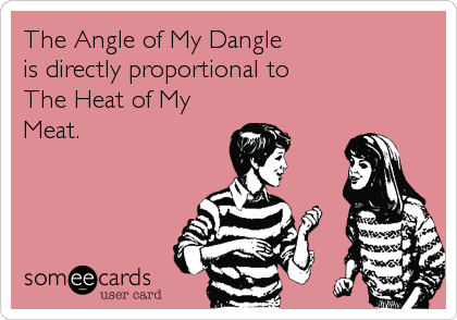 The Angle of My Dangle
is directly proportional to
The Heat of My
Meat.