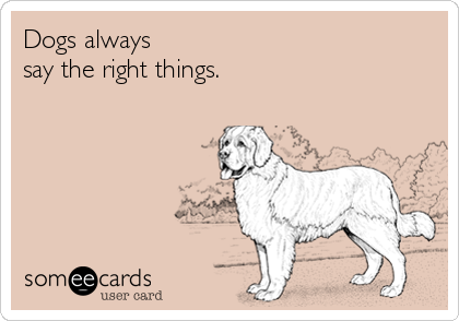 Dogs always 
say the right things.